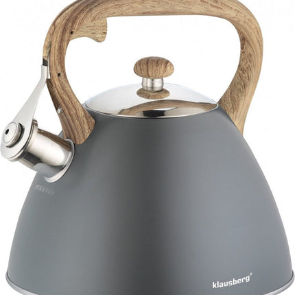 Klausberg KB-7297  fluitketel - 3L - rvs - alle warmtebronnen