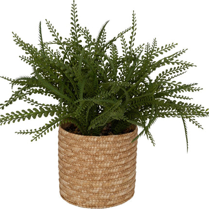 Atmosphera Kunstplant Varen met pot - 45x30x45cm - Groen