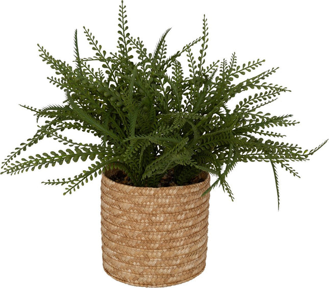 Atmosphera Kunstplant Varen met pot - 45x30x45cm - Groen