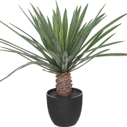 Atmosphera Kunstplant Rivi - Plant met pot - Ø50x52cm - Groen