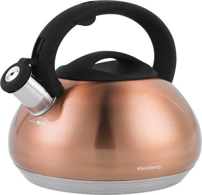 Top Choice - fluitketel - 2,7L - rvs - alle warmtebronnen