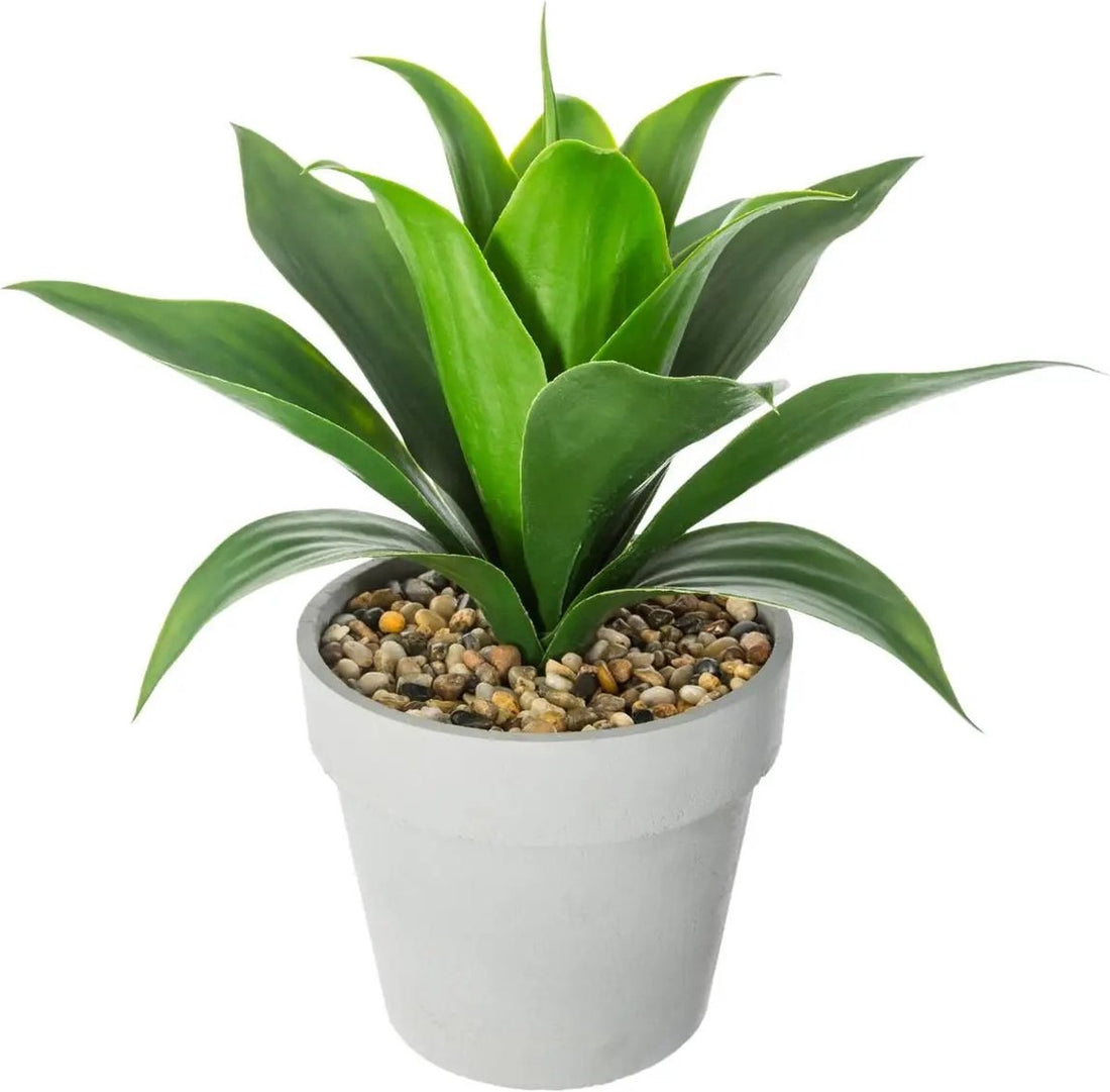 Atmosphera kunst aloe vera plant in cementen pot – nepplant, 34 cm hoog