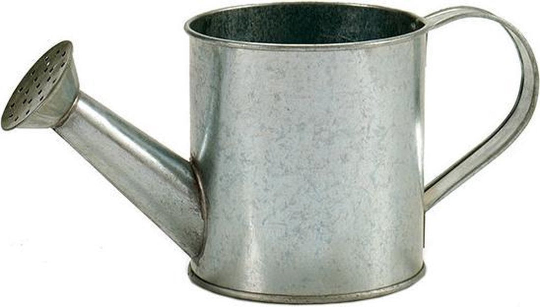 Ibergarden Pot de fleurs arrosoir 24,5 x 11 x 11 cm zinc gris argenté