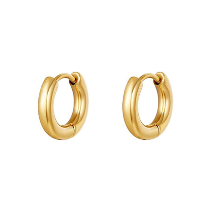 Basic oorbellen - mini - Goudkleur -  Stainless Steel - set van 2