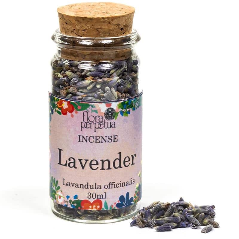 Lavender cotton