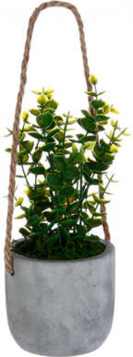 Kunstplant in cement pot – om neer te zetten of op te hangen