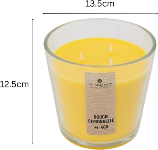 Nina Duftkerzens et - Duftkerze - Parfümkerze - Große Duftkerze im Glas - Exotic Fruits - Rose - Citronella - Scented Candle - 500 g - 13,5 x 12,5 cm - Transparent