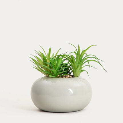 HOMLA - Kunstplant - Succulent in Pot - 19 cm