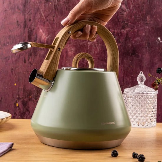 Klausberg - KB-9062 - Fluitketel - RVS Waterketel - Met Fluit - Matte Afwerking - Afneembaar Deksel - Houten Look Handgreep - Inductie - Gas - Elektrisch - Keramisch - Theeketel - Koffie - Brede Voet - 2.5L - Pastelgroen