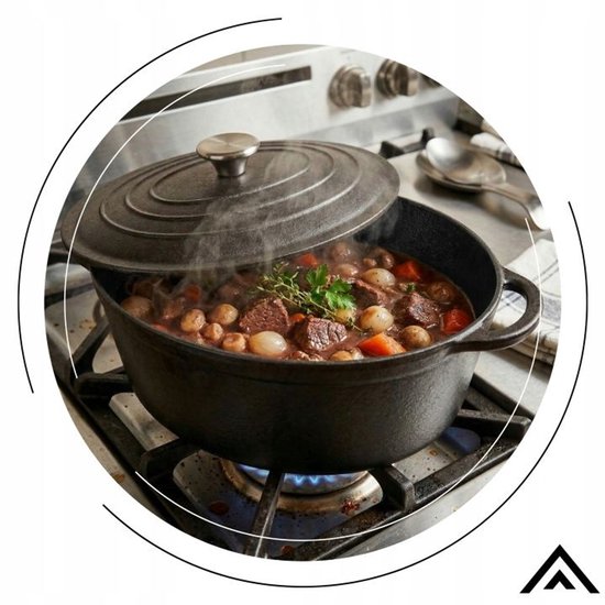 Hage - Braadpan - Gietijzeren Braadpan met Deksel - Voor Inductie, Gas, Oven, Grill en Vuur - 4.5 Liters - 28 x 21 x 11 cm - Zwart