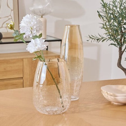 Vaas - Bloemenvaas - Glazen Vaas - Set van 2 - Crackle Glas - Luxe Interieur Decoratie - 25 cm & 39 cm in Hoogte - Transparant