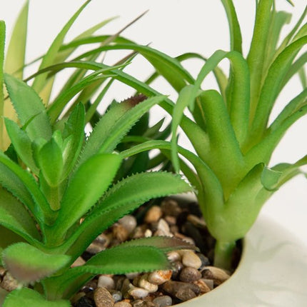 HOMLA - Kunstplant - Succulent in Pot - 19 cm