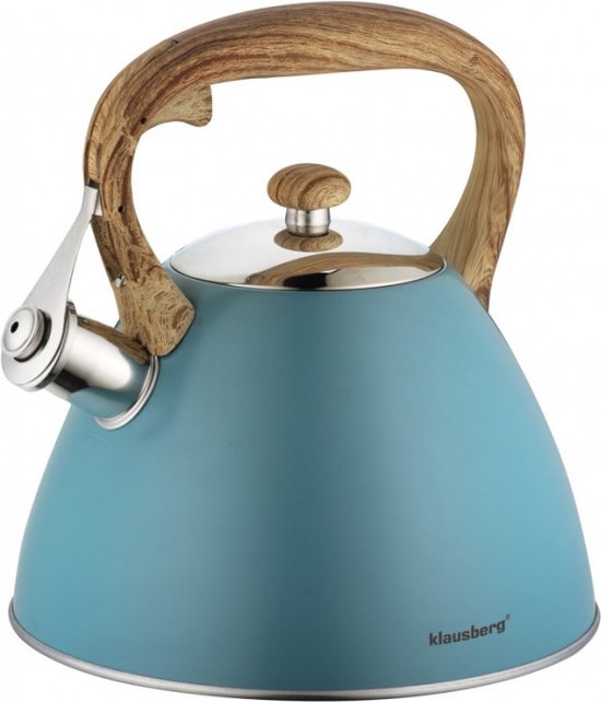 Fluitketel 3 liter rvs turquoise, geschikt voor alle warmtebronnen en inductie