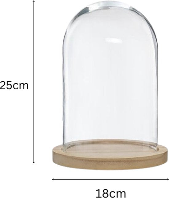 Glasglocke - Glassturz - Glaskuppel - 2er-Set - Dekorative Glocke mit Holzfuß - 18 x 25 cm - Transparent