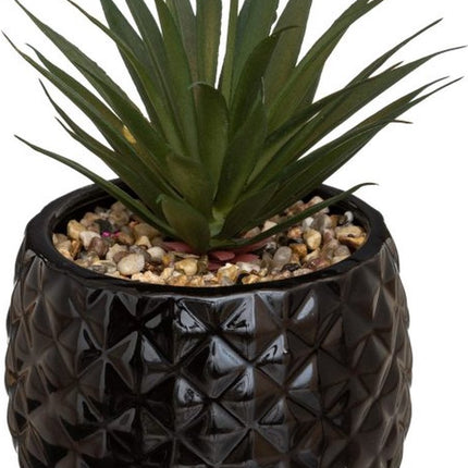 Kunstplant in Zwarte Ananas Pot – H21 cm