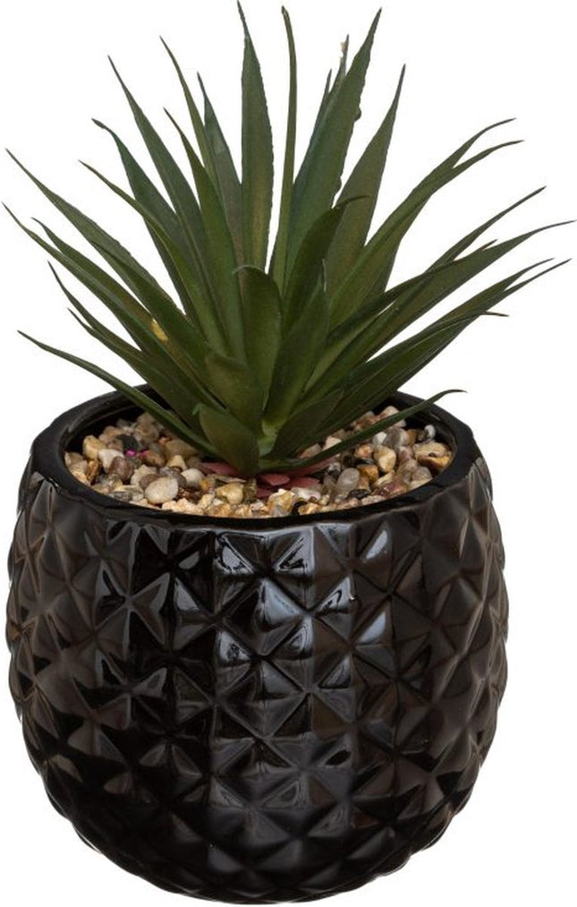 Kunstplant in Zwarte Ananas Pot – H21 cm