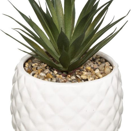 Kunstplant in Witte Ananas Pot – H21 cm