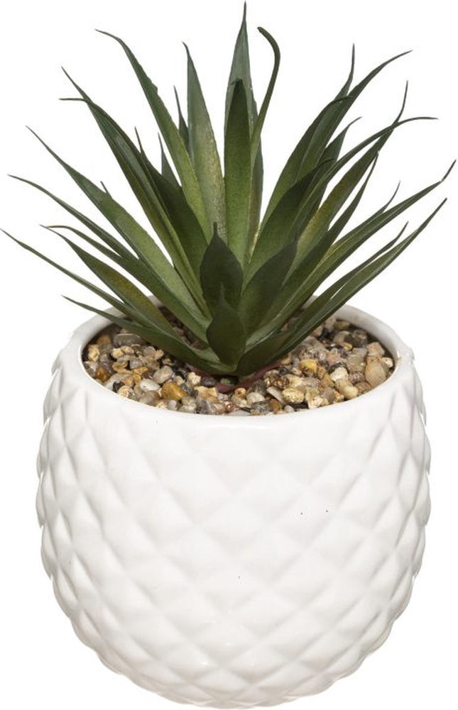 Kunstplant in Witte Ananas Pot – H21 cm