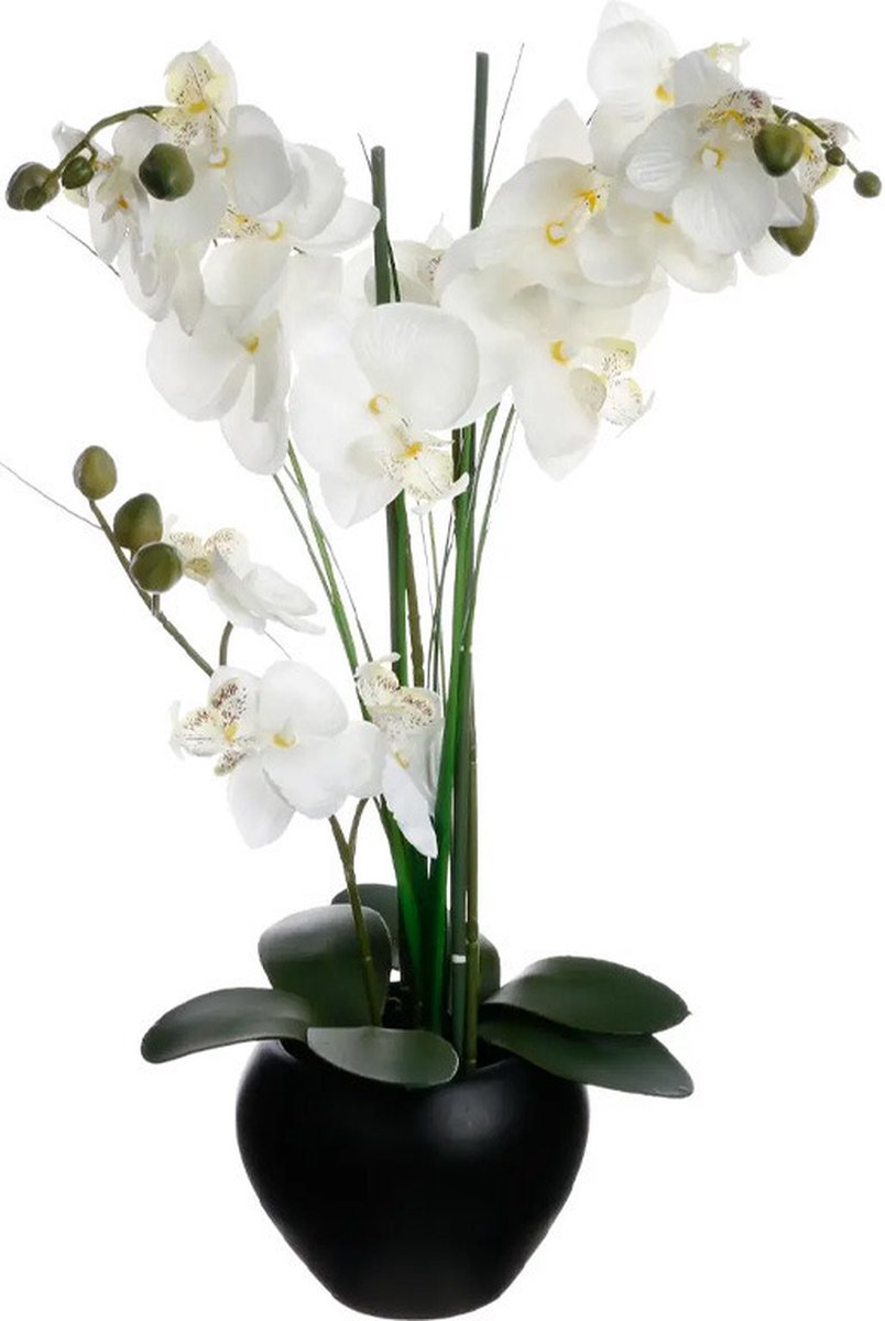 Atmosphera Orchidee Kunstblume im schwarzen Blumentopf - weiße Blüten - H53 cm