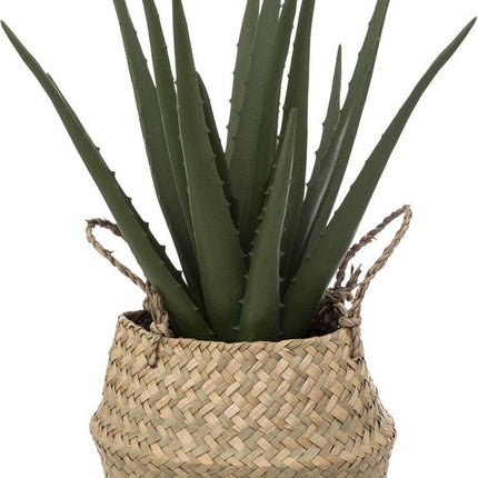 Kunstplant ALOË in mand, 37 cm