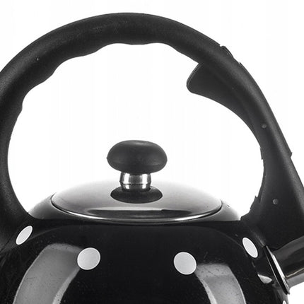 Fluitketel zwart stippel 2 liter