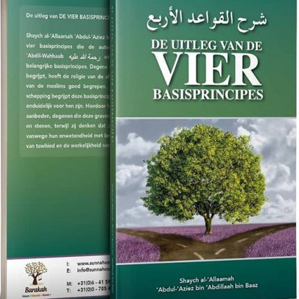 De Uitleg van de VIER basisprincipes