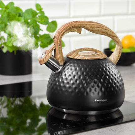 Klausberg KB-7562 - fluitketel - 2.8 L - rvs - alle warmtebronnen