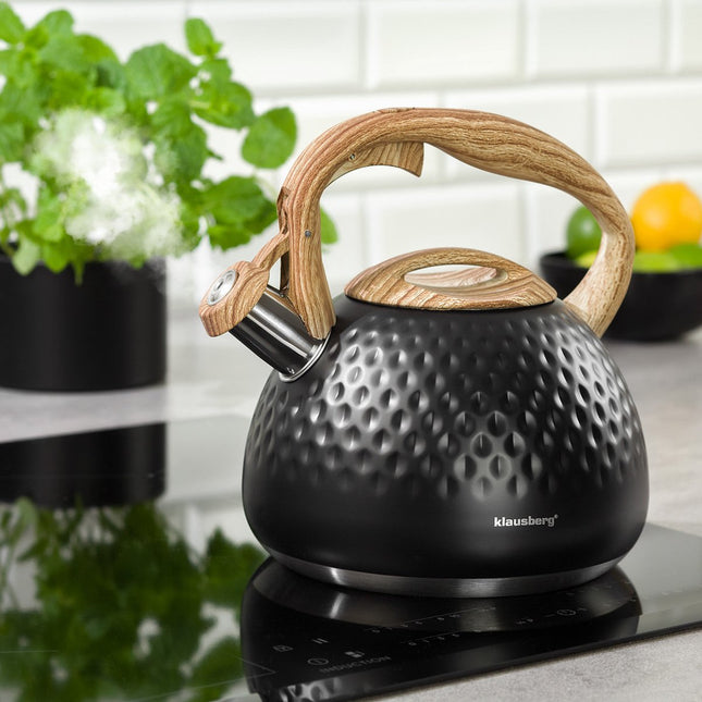 Klausberg KB-7562 - fluitketel - 2.8 L - rvs - alle warmtebronnen