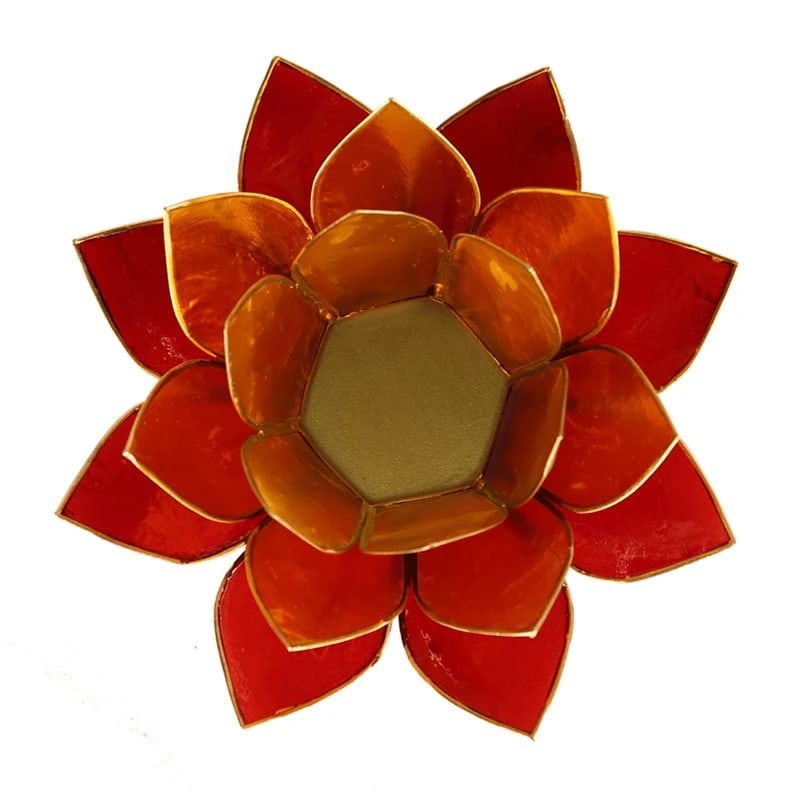 Veilleuse Lotus 3 couleurs bordure dorée