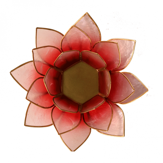 Lotus sfeerlicht rood/roze goudrand