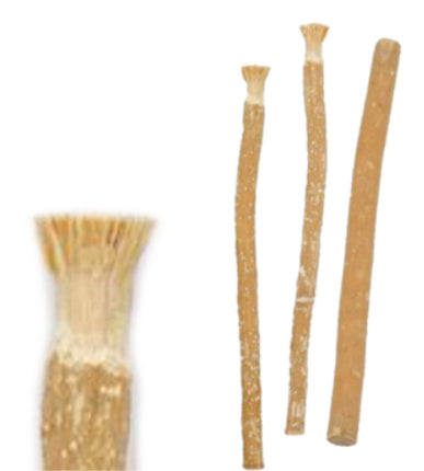 Miswak Stokje Naturel