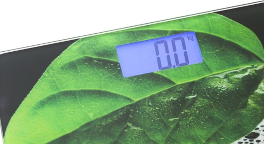 Mesko Personal Scale - Dew