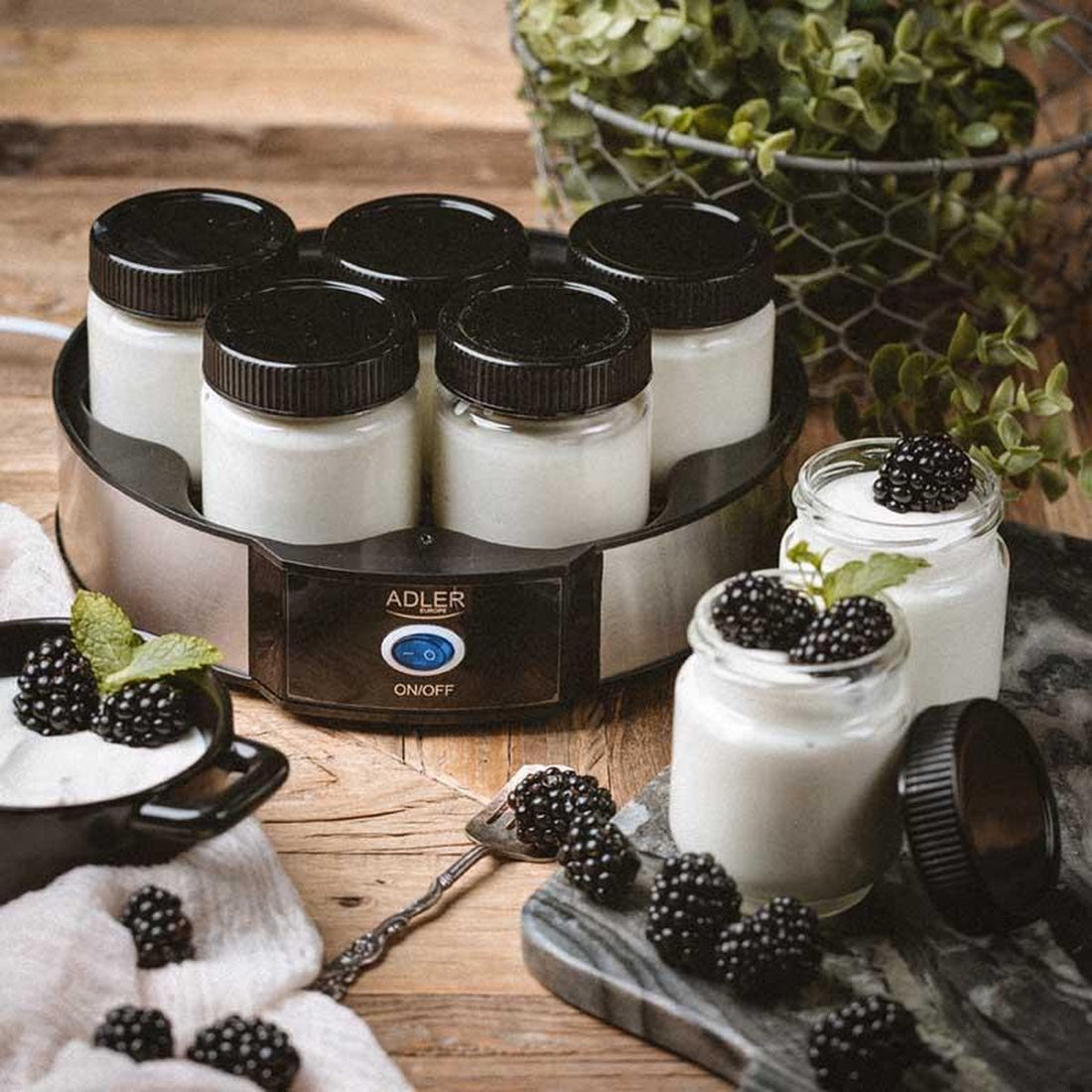 Adler AD 4476 - Yogurt Maker