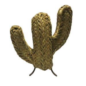 zeegras cactus 35 cm